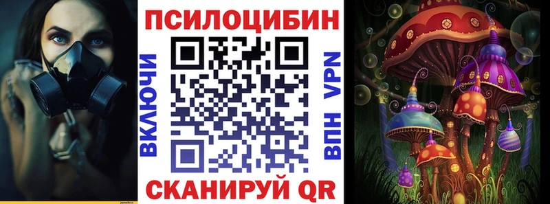 Псилоцибиновые грибы Cubensis Поронайск